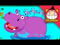 Hippo song | Animal songs | Nursery Rhymes | REDMON