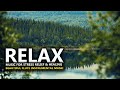 Relaxing Flute Music for Stress Relief l Peaceful Flute Music l Soothing Music l Relaxation Music