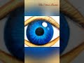 HOW TO DRAW AN EYE 👁️ || THE COLOUR BUCKET ||