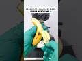 Melihat pisang menggunakan microscope. #microscope #pisang #shorts
