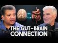 The Gut–Brain Connection: How Your Microbiome Influences Your Mind