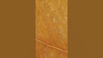 #القرآن_الكريم ( اليوم تجزي كل نفس بما كسبت لا ظلم اليوم إن الله سريع الحساب...) #سورة_غافر