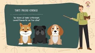 Tanti piccoli consigli cinofili. by Fidotutorial 58 views 1 year ago 15 minutes