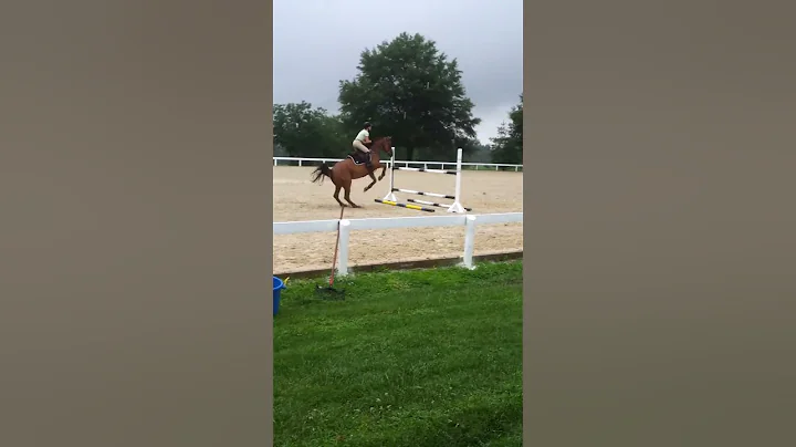 April Whitten & Prince Du Roch