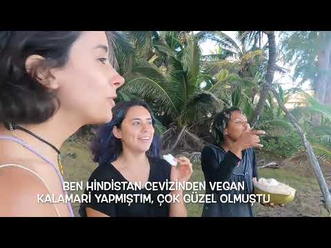 İmamı Türkiye'ye Yolladık, Hawaii'de Rakı Sofrası Kurduk 🇺🇲