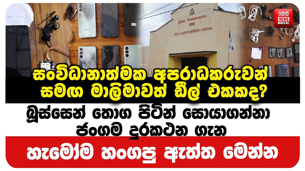 සංවිධානාත්මක අපරාධකරුවන් සමඟ මාලිමාවත් ඩීල් එකකද?