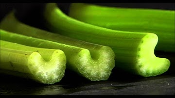 Dj Celery - Celery Battle (Original Mix)