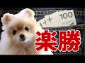 FX 簡単で儲かる、楽勝ゾーンの見つけ方。