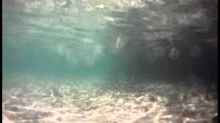 En Los Juanes morrocoy.mp4