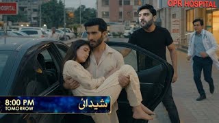 Shaidai Episode 29 Ali Khan ne bachaya Miraal ko Drama Review and Prediction Teaser Shaidai New Ep