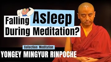 Do You Fall Asleep During Meditation? - Yongey Mingyur Rinpoche | LSE 2018 【C:Y.M.R Ep.13】