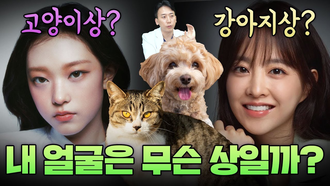 고양이눈인데 강아지눈이 되고싶다면?