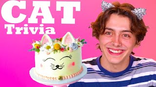 Jerm Bot Competes in The Ultimate Cat Trivia Smoothie Challenge! | Snackable