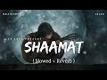 Shaamat Male Version Lofi Slowed Reverb Ankit Tiwari SR Lofi