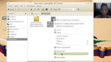 Google Chrome para canaima linux