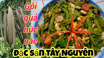 Gỏi quả núc nác, ăn thử một miếng thì muốn ăn hết cả dĩa luôn nè/ cuộc sống Tây Nguyên