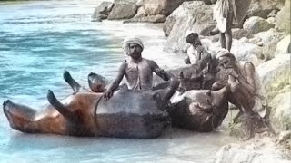 People Used Cow Skins As Boats To Cross River In the Past - Mind Blowing Ancient Techniques by 4 Ever Green 5,383 views 3 months ago 21 minutes