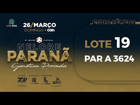 LOTE 19 PAR A3624