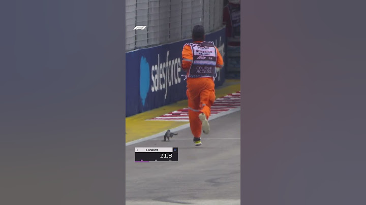 The Fastest Lizard In The World! 😂🦎