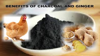 Benefits of charcoal to poultry farming/how much charcoal to give and how to administer to birds.