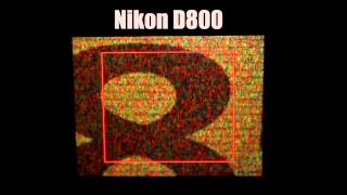 D800 vs 5D Mark III: Live View in low light