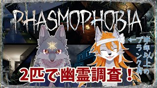 【ファズモフォビア】狼犬×狼で幽霊たちを調査せよ！【Vtuber】