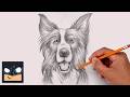 How to Draw a Dog | Border Collie Sketch