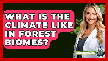 What Is The Climate Like In Forest Biomes? - Earth Science Answers