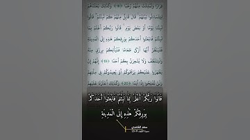 سورة الكهف الاية 19-20