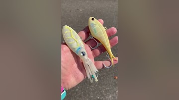 When are you fishing the Nomad Vertrex vs the Nomad Squidtrex?