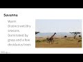 Terrestrial Biomes and Their Unique Ecosystems