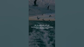 الذين آمنوا وتطمئن قلوبهم بذكر الله - القارئ عبدالرحمن مسعد