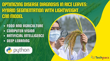 Optimizing Disease Diagnosis in Rice Leaves: Hybrid Segmentation with Lightweight CNN Model
