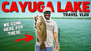 NEW YORK Is UNBELIEVABLE - Cayuga Lake Travel Vlog