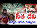 సీతా దేవి పుట్టుక వెనుక రహ్యసం | Birth of Godness Sita | Birth of sita | The Divine Tales