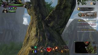 Neverwinter glitch part #2