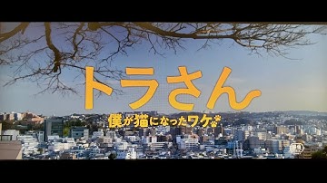 映画『トラさん～僕が猫になったワケ～』予告編