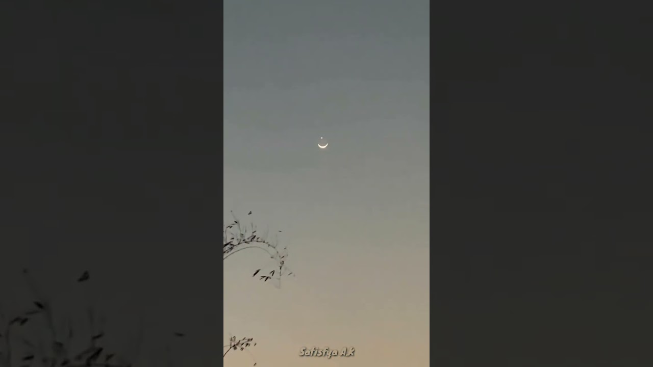 Be your own peace when others leave you in pieces.💕