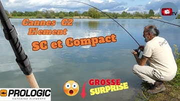 Cannes C2 Element Prologic - La qualité pour budget serré