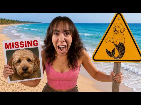 If You See This Mermaid Dog SIGN.... STAY AWAY!!!