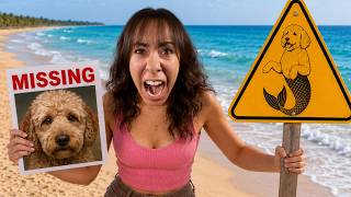 Famous If You See This Mermaid Dog SIGN.... STAY AWAY!!! Wealth