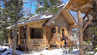 chicken coop bear proof homestead wilderness build self