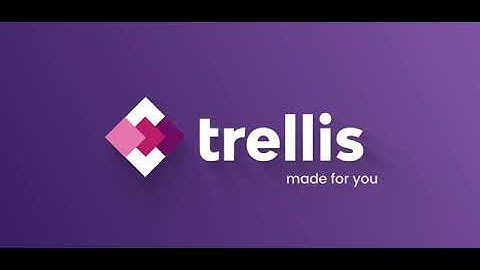 Automating Your Amazon PPC Campaign Management - Trellis Dashboard Overview