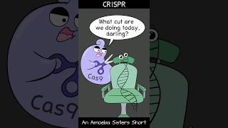 CRISPR - Amoeba Sisters #Shorts #biology #biotechnology #science