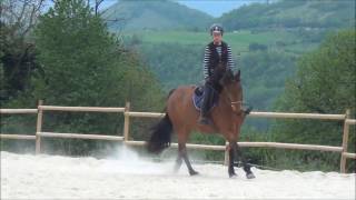 [cours de saut] du 25/04/17| Ciboulette saute; ou pas!
