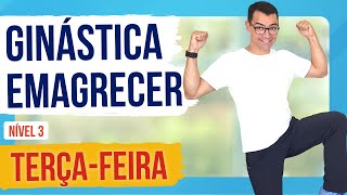 GINÁSTICA FÁCIL PARA EMAGRECER EM CASA | Terça-feira | Para Iniciantes | Nível 3