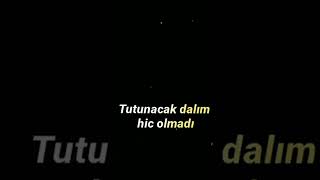 Diyar Pala-Anlasiyah Ekran Lyrics