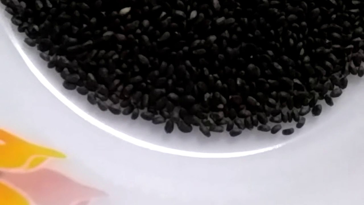 Sabja seeds, healthy drink for summer YouTube