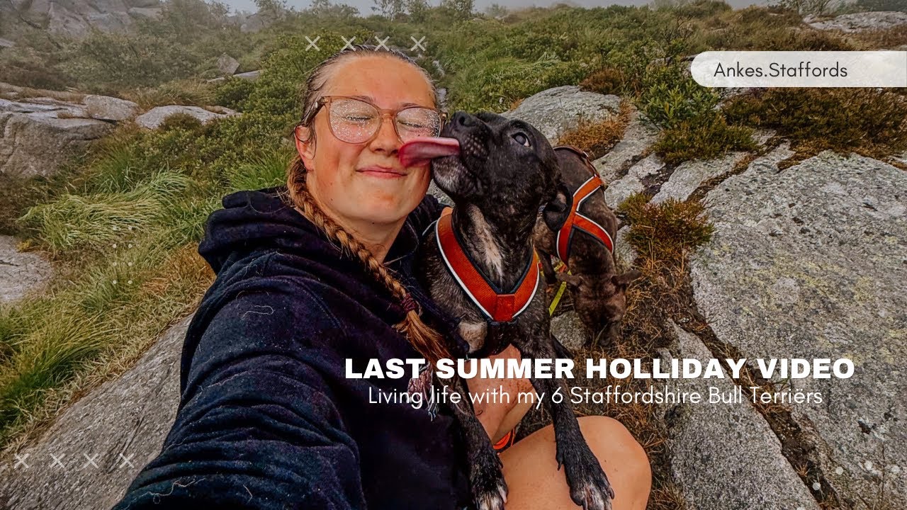 Last summer holliday video