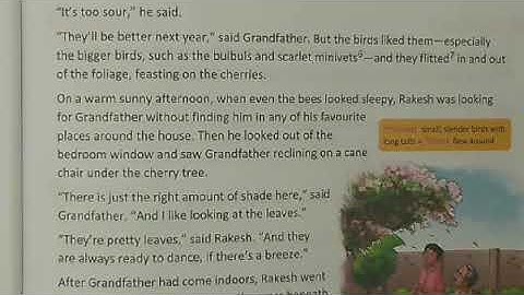 The Cherry Tree part-3(summary in hindi by R@j Sir)